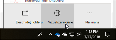 Captură de ecran a butonului Vizualizare online