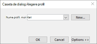 Caseta de dialog Alegere profil cu numele noului profil