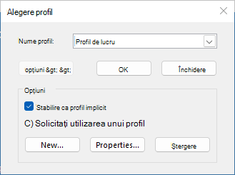 Caseta de dialog Alegere profil cu numele noului profil. Este selectată opțiunea Setare ca profil implicit.