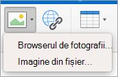 Se afișează opțiunile de inserare a imaginilor pentru semnătură