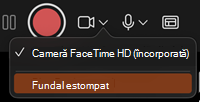Butonul Estompare fundal