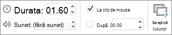 Captură de ecran a grupului Temporizare.