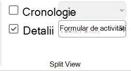 Imaginea casetei de selectare Detalii, pe fila Vizualizare.