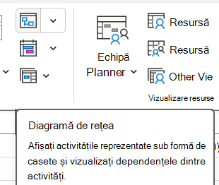 Imaginea butonului Diagramă rețea pe fila Vizualizare.