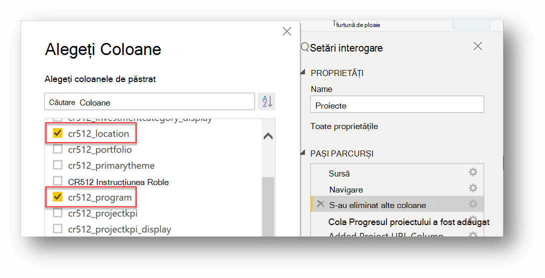Acesta este un exemplu despre cum să alegeți coloanele de adăugat în editorul de interogare. Coloanele adăugate în acest exemplu se numesc cr512_location și cr512_program.