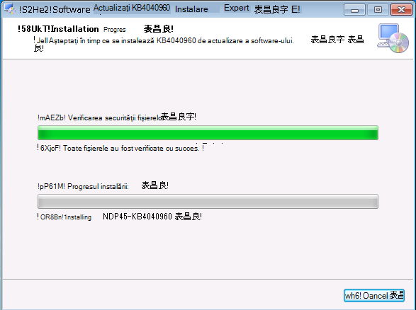 Expertul de instalare 3