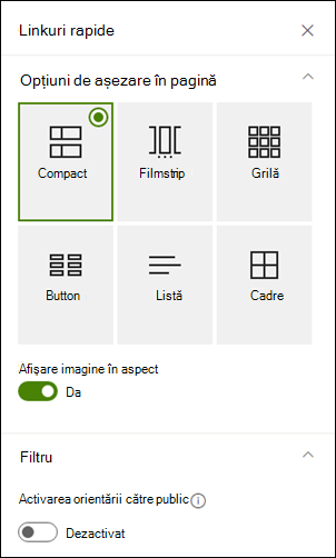 Panoul Proprietăți afișând opțiunile suplimentare pentru un aspect selectat.