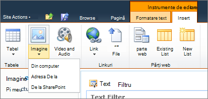 Faceți clic pe butonul imagine de pe panglică și selectați De la computer, adresă sau SharePoint.