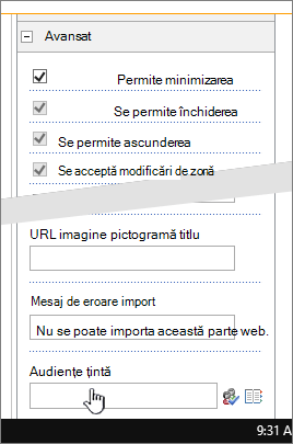 Secțiunea Proprietăți parte web cu publicul țintă evidențiat