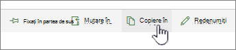 Butonul Copiere în din meniul principal