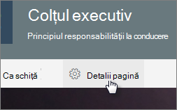 Meniul Detalii pagină
