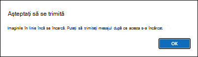 noua imagine Outlook provoacă probleme la trimiterea de mesaje de e-mail