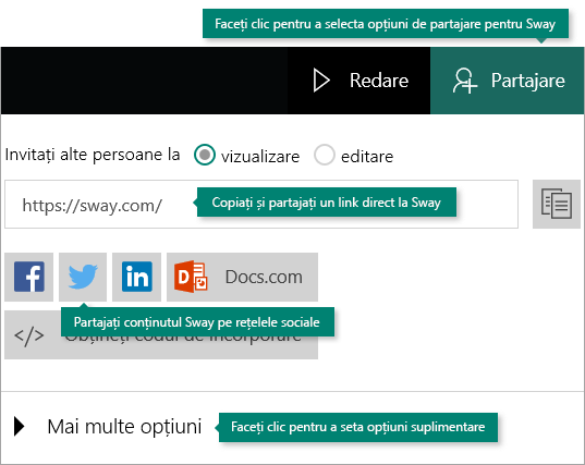 Opțiuni de partajare în Sway