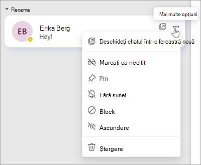 Captură de ecran a meniului de opțiuni Chat