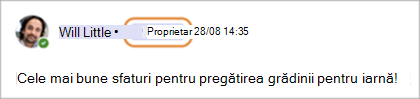 Captură de ecran afișând ecusoanele de proprietar al comunității în Teams (gratuit).