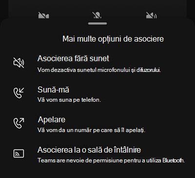 Selectați o sursă audio din ecranul mobil de pre-asociere la întâlnire.