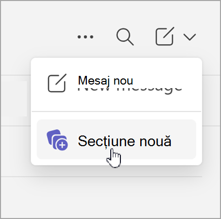 Captură de ecran a opțiunii pentru mesaj nou și secțiune nouă care apare după selectarea elementelor noi în chatul cu vizualizare separată.