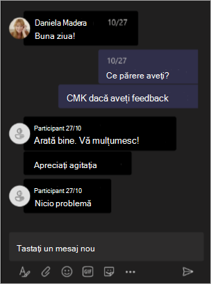 Captură de ecran afișând vizualizarea organizatorului atunci când numele sunt ascunse în întâlnirea sau seminarul web Teams.