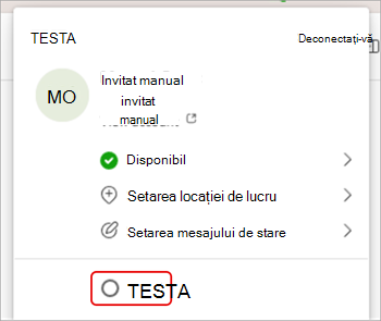 Captură de ecran care arată cum să comutați între organizații în Microsoft Teams.