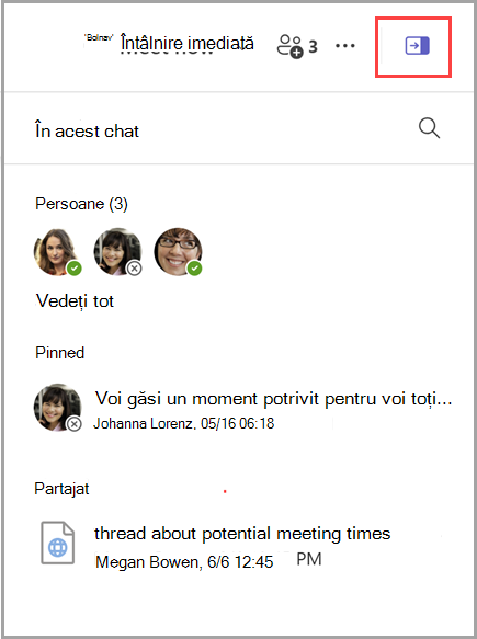 Captură de ecran cu dezvăluirea unui panou de informații de chat care include o listă de 3 persoane, 1 mesaj fixat și 1 document partajat.