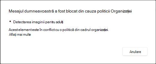 Un mesaj de dialog explică de ce a fost șters un mesaj deoarece conținea conținut pentru adulți.
