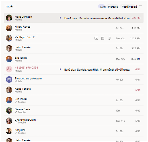 Ecran-Istoric Teams-general-border