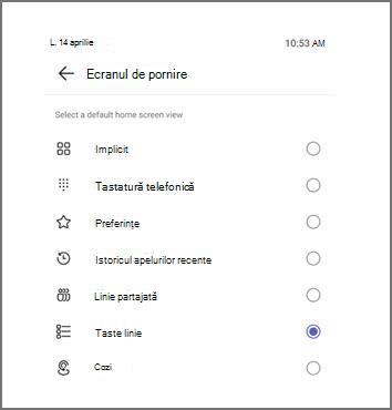 Meniu pentru selectarea vizualizării implicite a ecranului de pornire, cu Taste linie selectate în prezent.
