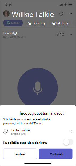 Captură de ecran afișând opțiunile atunci când activați subtitrările în direct