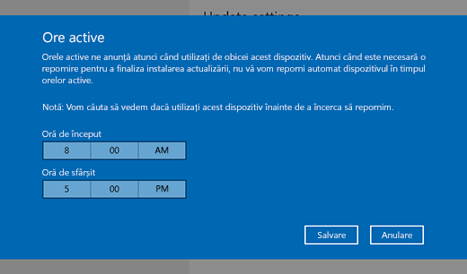 Captură de ecran a ferestrei de dialog pentru modificarea orelor de activitate