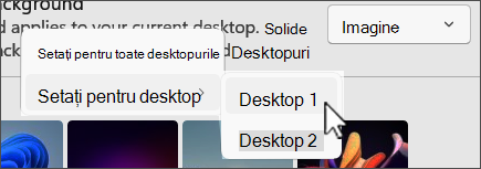 Screenshot to show background multiple desktop choices.
