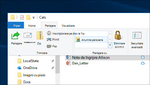 Partajarea unui fișier cu anumite persoane dintr-o rețea