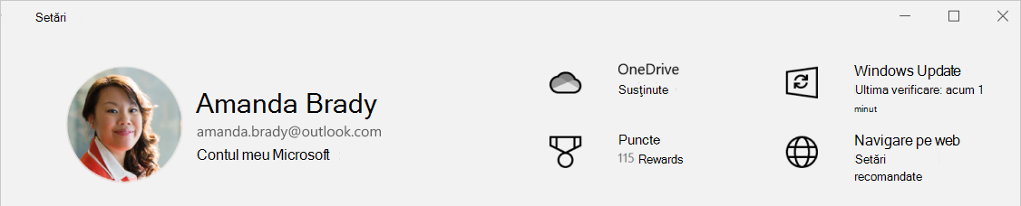 Captură de ecran cu Setări afișând starea de backup OneDrive.