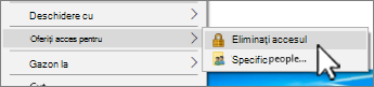 Captură de ecran cu Windows 11 Eliminați accesul la unitățile mapate.