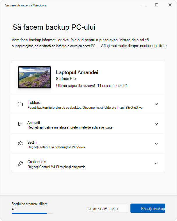 Captură de ecran a aplicației Backup Windows din Windows 11.