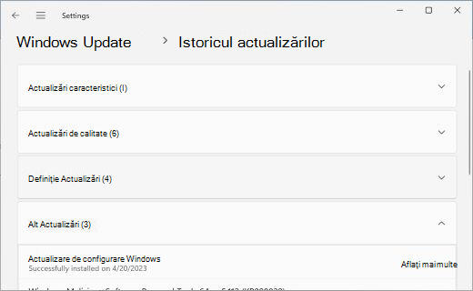 Afișează pagina Istoric actualizări, cu secțiunea Alte Actualizări extinsă.