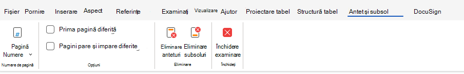 Opțiuni pentru antet și subsol din panglică