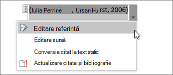 Selectați Opțiuni pentru citate, apoi Editare referință