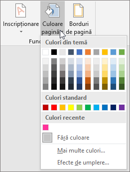 Opțiunile Culoare pagină sunt afișate