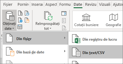The From Text option is highlighted on the Data tab.