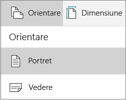 Orientare