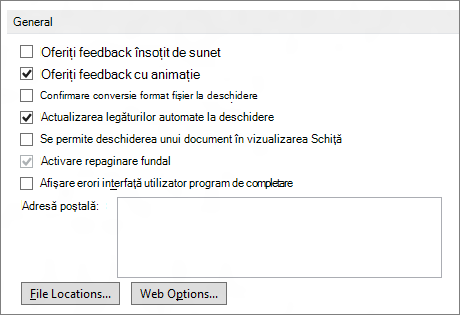 Word 2013 General options