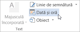 Selectarea datei & a orei pe fila Inserare