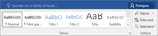 Galeria Stiluri se află pe fila Pornire