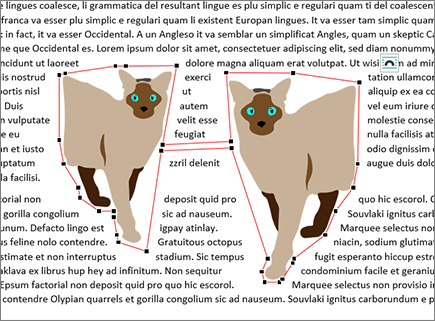 Editare puncte de încadrare mutate