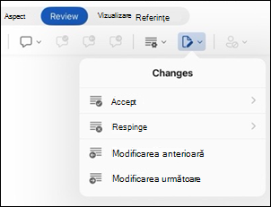 Word pentru iPad Opțiuni Revizuire modificări