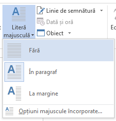 Alegeți Fără pentru a elimina o majusculă încorporată.