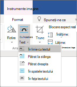 Wrap text options