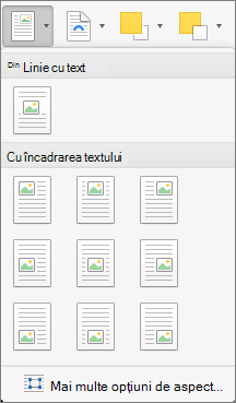 În meniul Poziție, selectați poziția pentru imaginea selectată sau obiectul desenat selectat raportat la textul înconjurător.