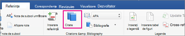 Pe fila Referințe, este evidențiat Citate.