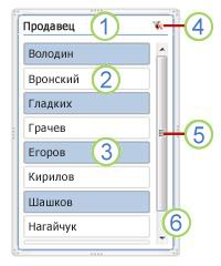 Снимок экрана: элементы среза сводной таблицы.